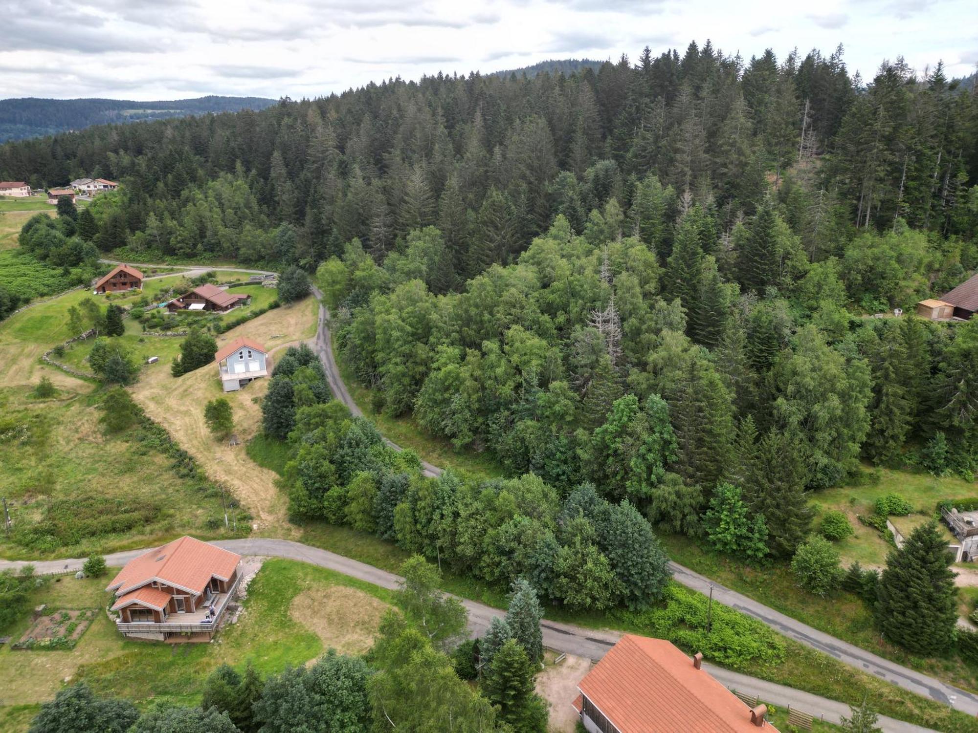 Chalet L'Appel De La Foret Gérardmer Exterior foto